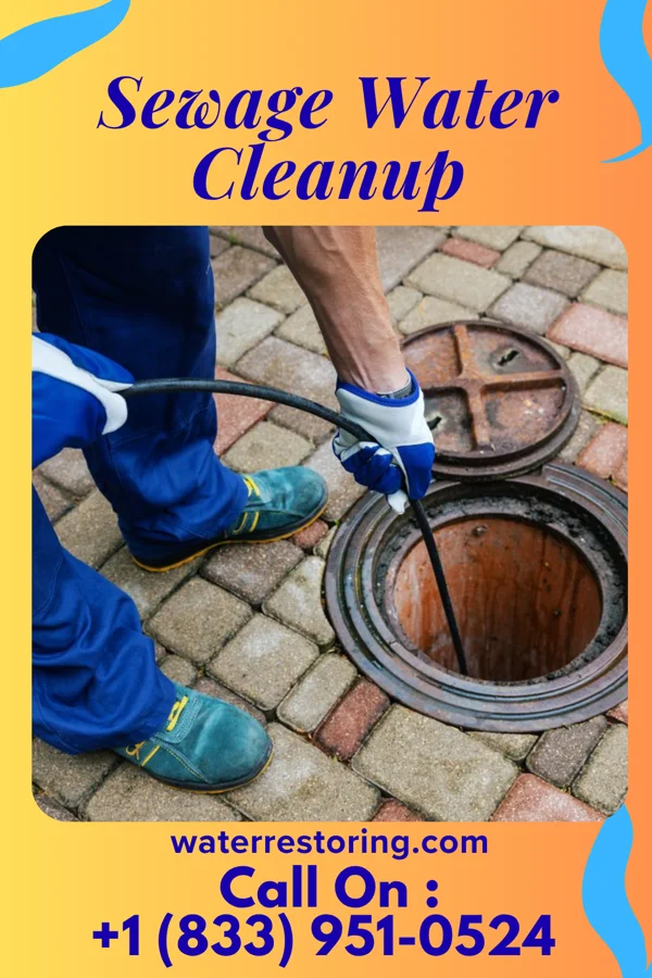 Sewage Water Cleanup in Doland, SD